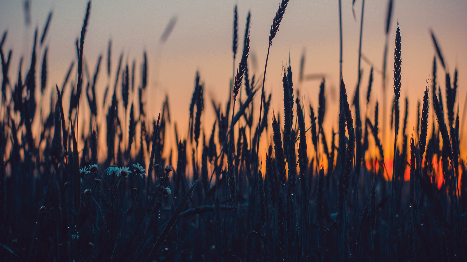 Uncertain, only most of the time.